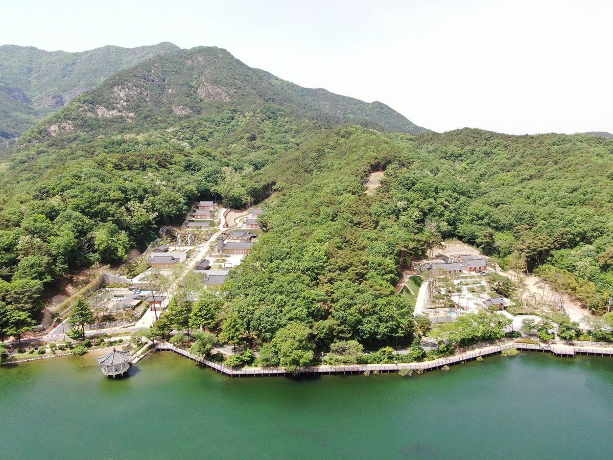 위에서 본 산 아래 물가 — 초록 숲 사이 골짜기의 한옥 단지, 물가를 따라 난 나무 데크 길, 물 위 작은 팔각 정자